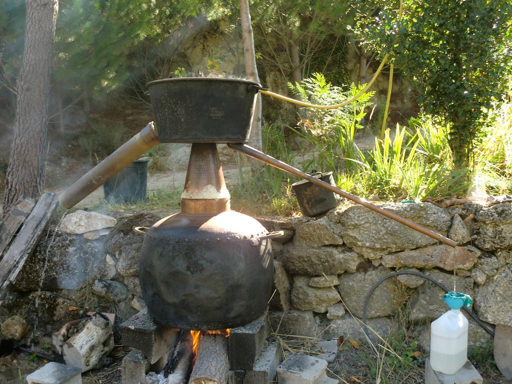 Quinta Do Circo - Serra Da Estrela - Turismo Rural Cortes do Meio Dış mekan fotoğraf