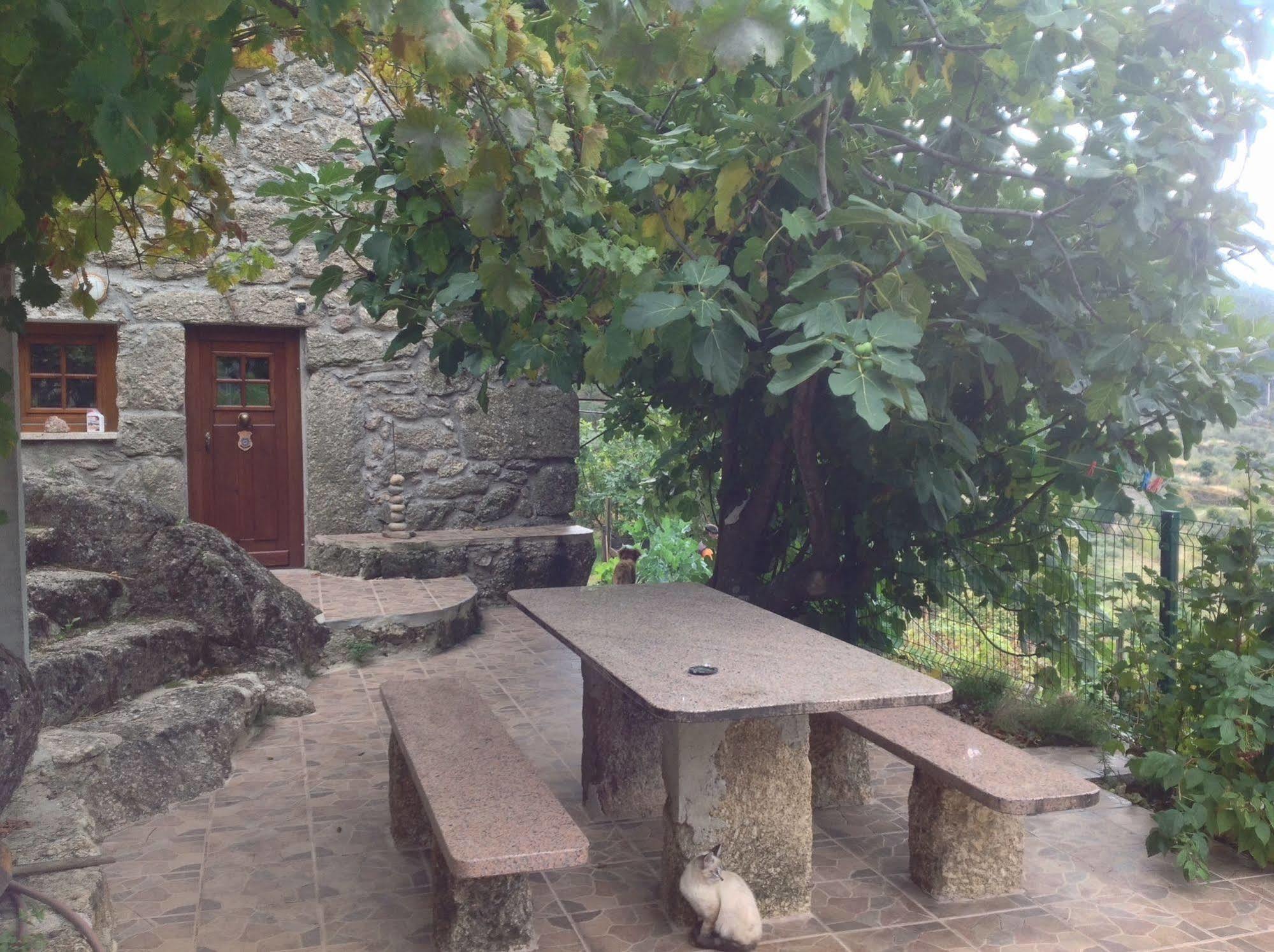 Quinta Do Circo - Serra Da Estrela - Turismo Rural Cortes do Meio Dış mekan fotoğraf